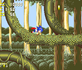 Winding, looping vines give the level a massive does of speed, and connect the larger pieces of level together.