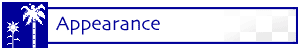 Appearance